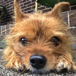 Meet your Posher, Terri